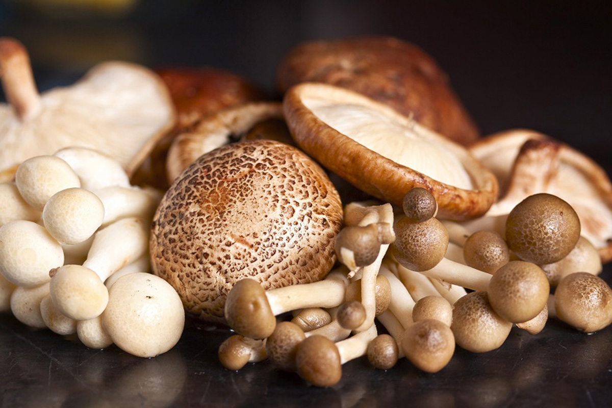 mushroom-market-size-worth-$9524-billion-by-2028-|-cagr:-95%:-grand-view-research,-inc.