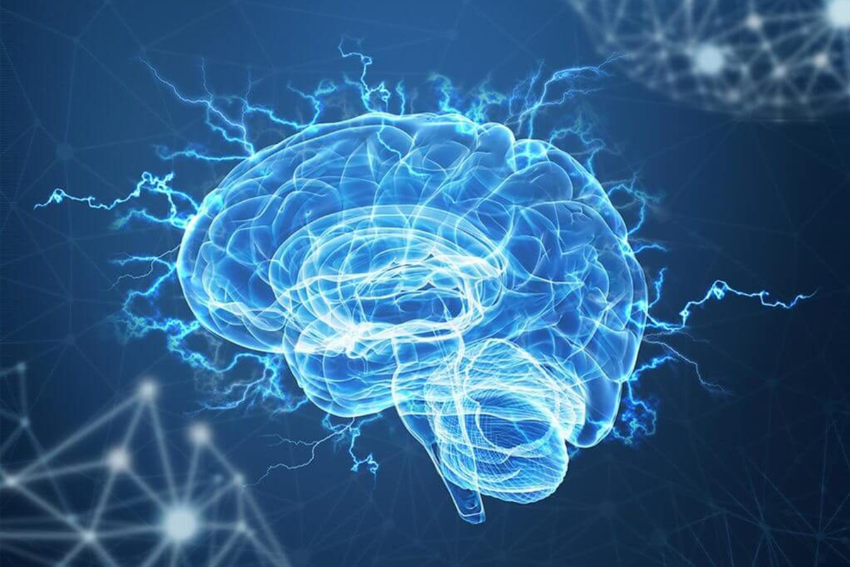 neurotechnology-releases-mobile-app-for-sentisight.ai