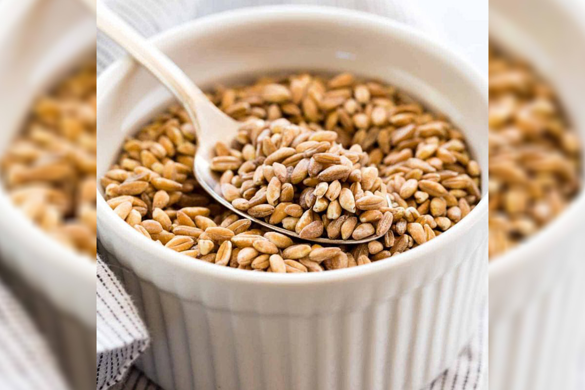 farro-market-to-reach-$5138-mn,-globally,-by-2030-at-10.1%-cagr:-allied-market-research