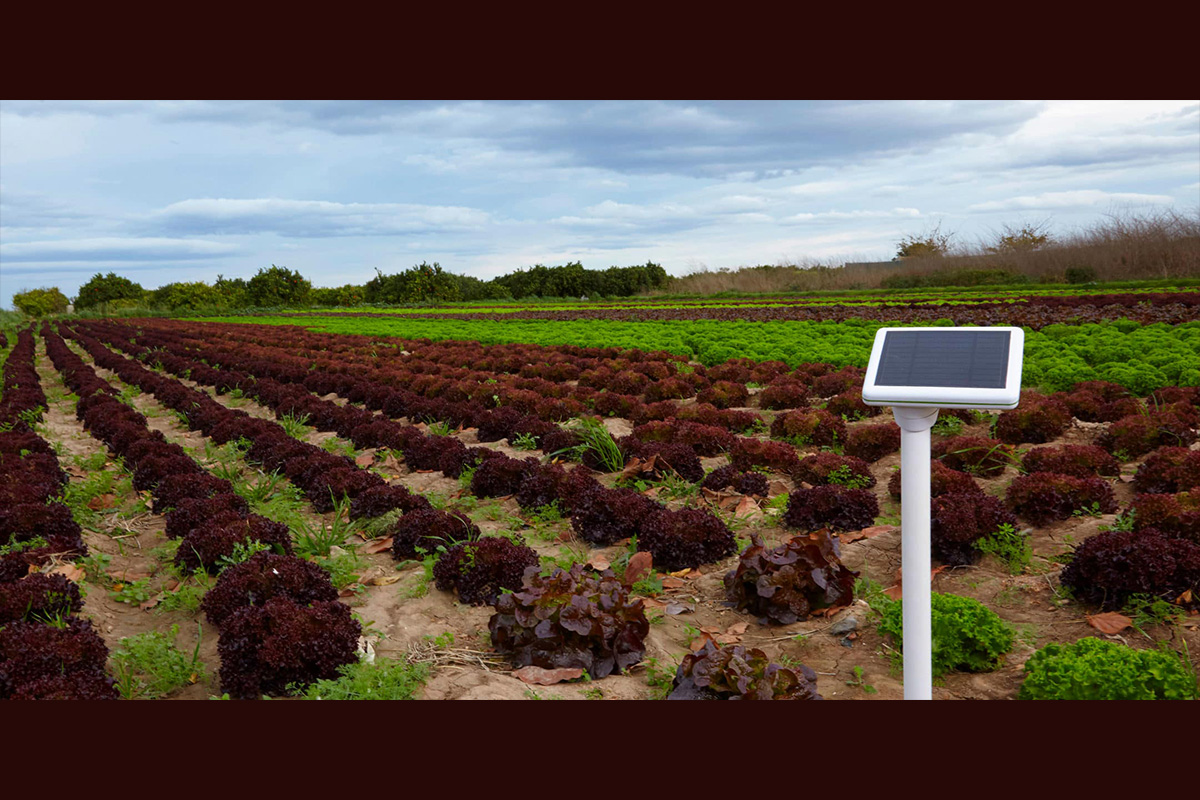 agriculture-sensor-market-size-worth-$379-billion-by-2028:-grand-view-research,-inc.