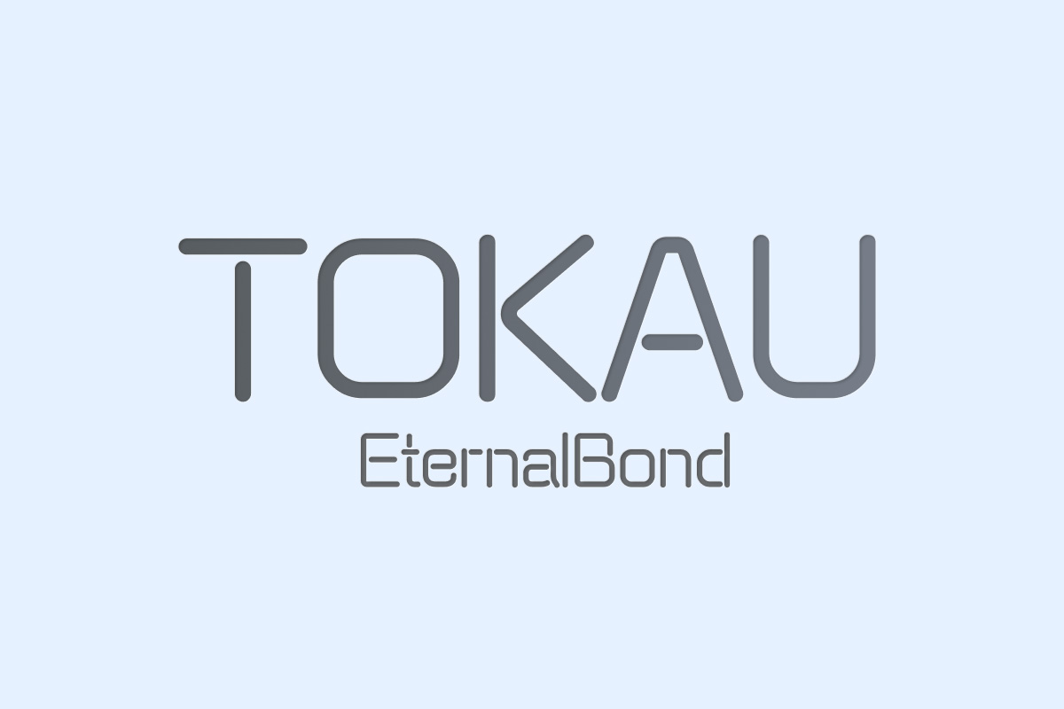 tokau-launches-its-metaverse-metacity,-a-gamefi-where-users-can-join-to-earn-nft